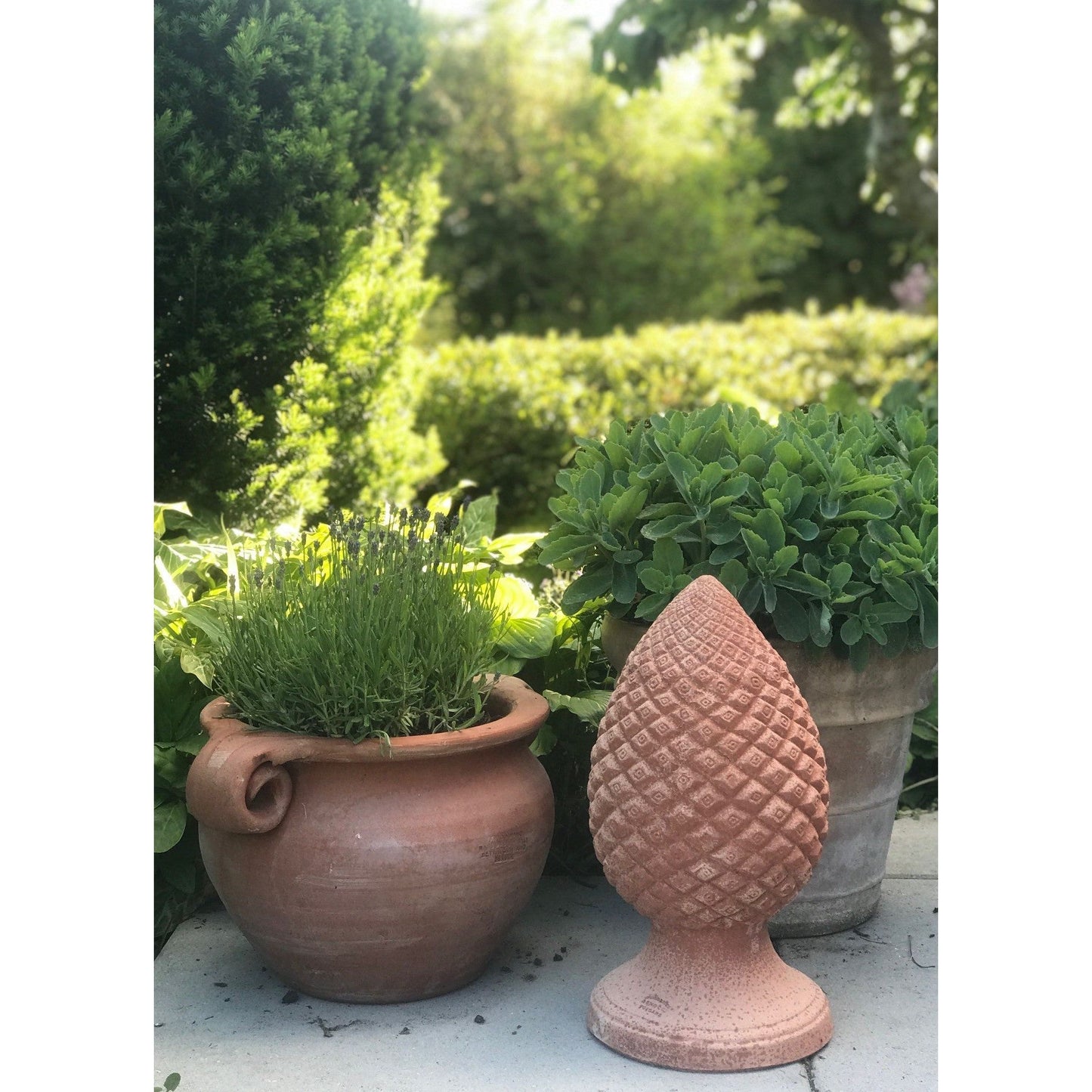 Boccia 2 Ricci Bucati