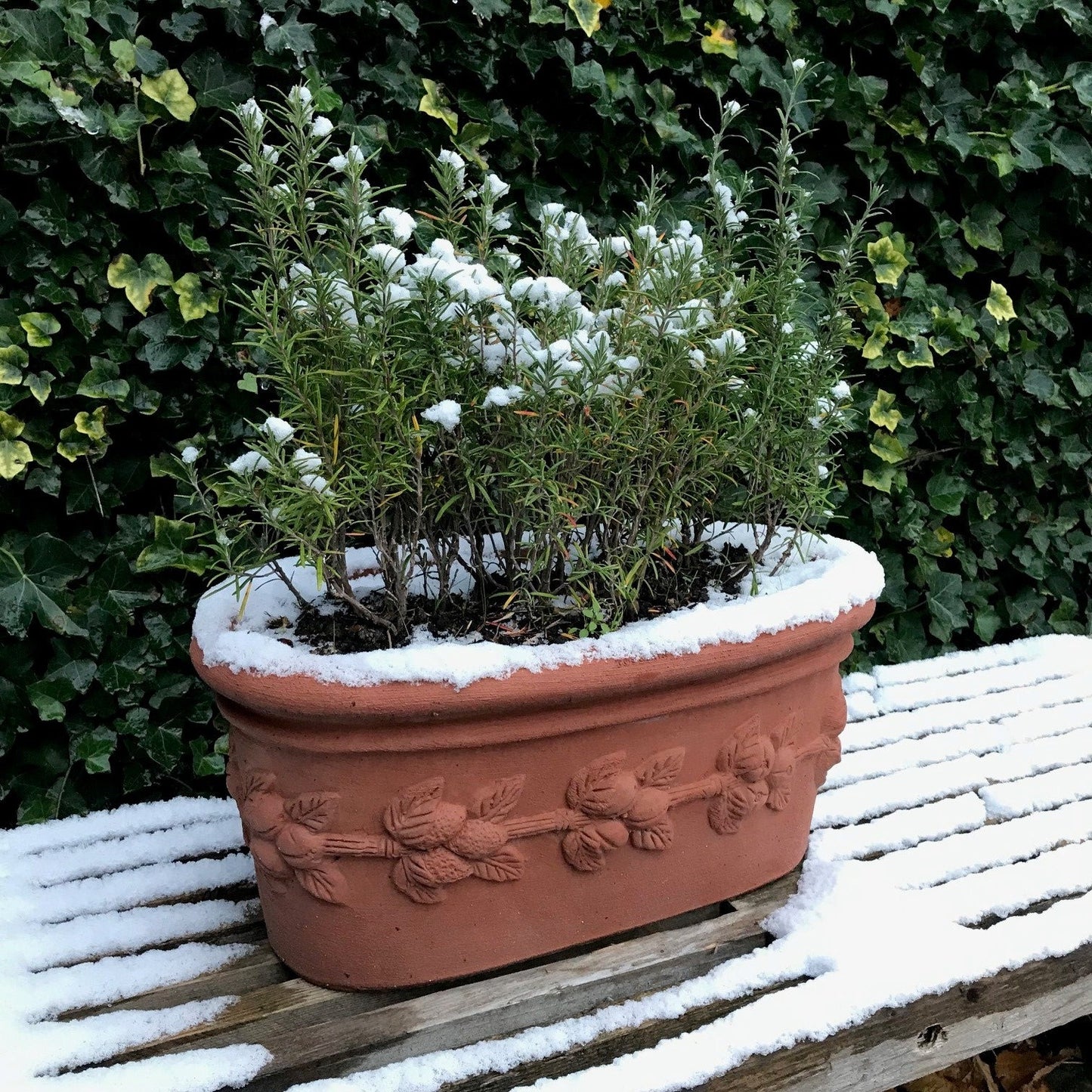 Cassetta ovale con Frutta