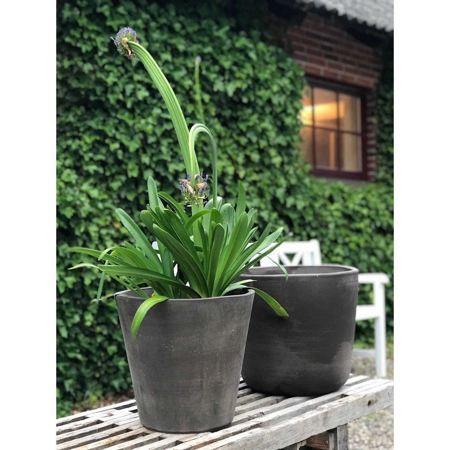 Vaso Cono Grigio