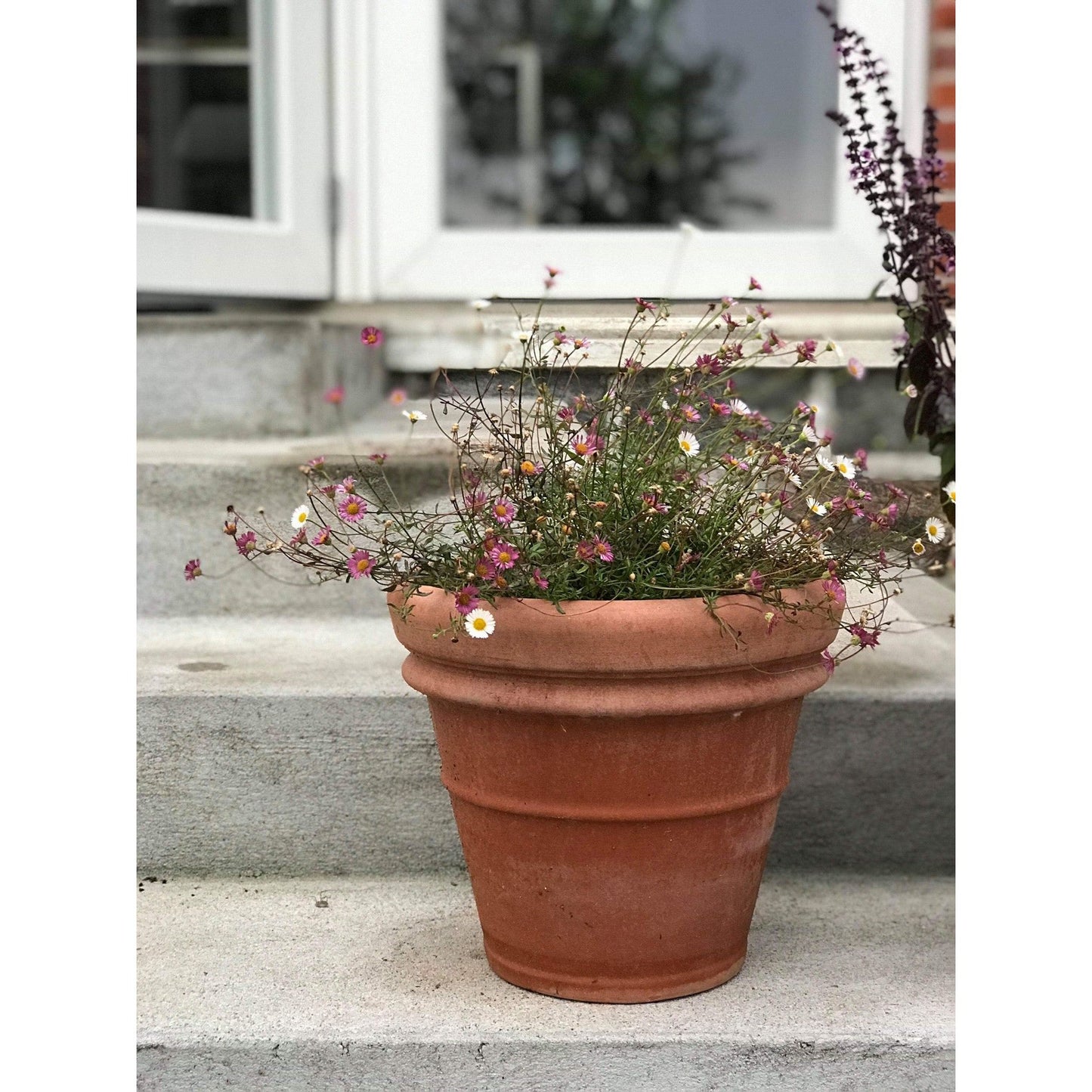 Vaso Doppio Orlo