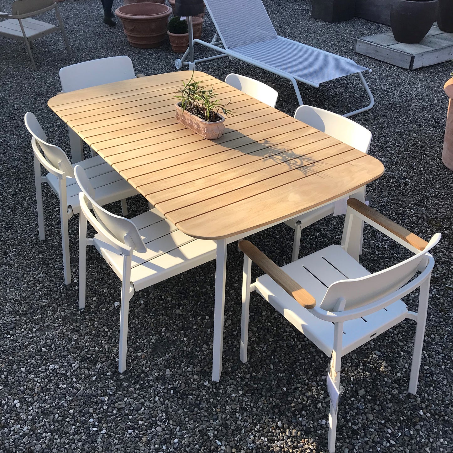 Shine spisestol