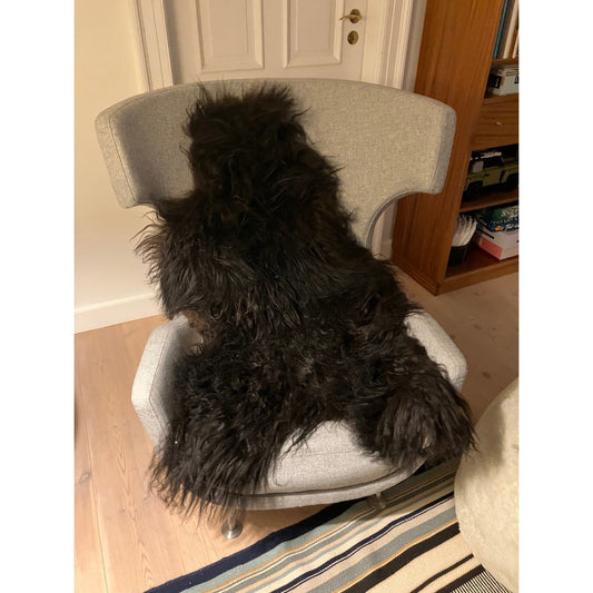 Fåreskind langhåret - medium størrelse