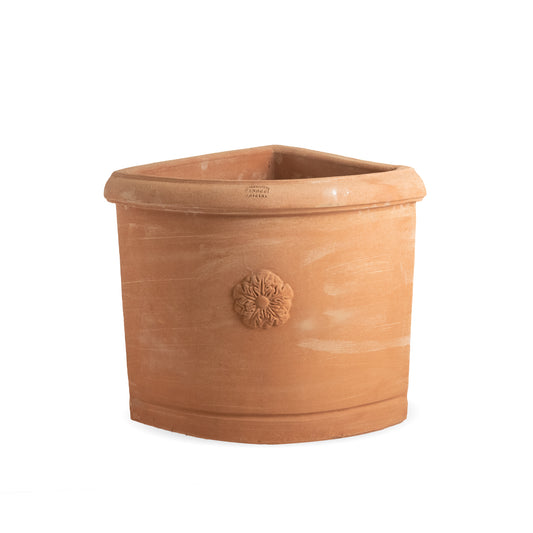 Angolare con Rosetta