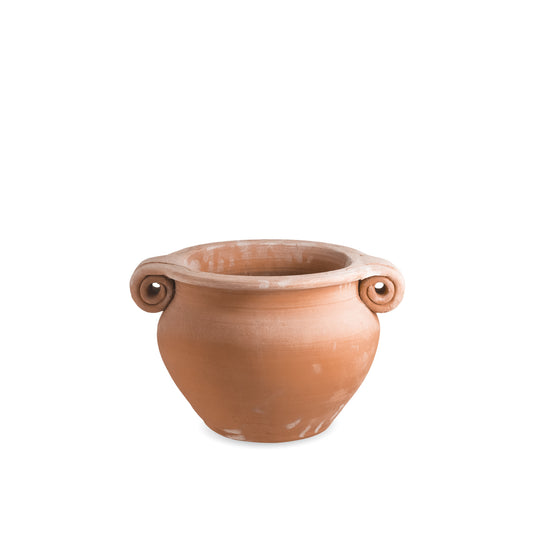 Boccia 2 Ricci Bucati